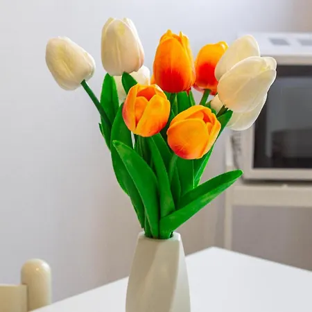 Apartment Familybo Sant'orsola *
